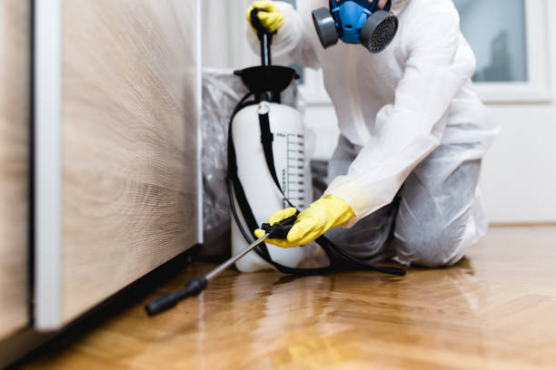 Best Mosquito Control Services  in Atlantic Highlands, NJ