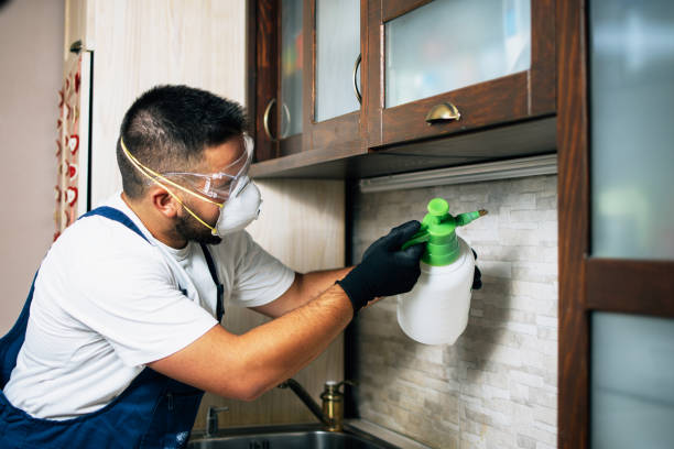 Best Bed Bug Extermination  in Atlantic Highlands, NJ