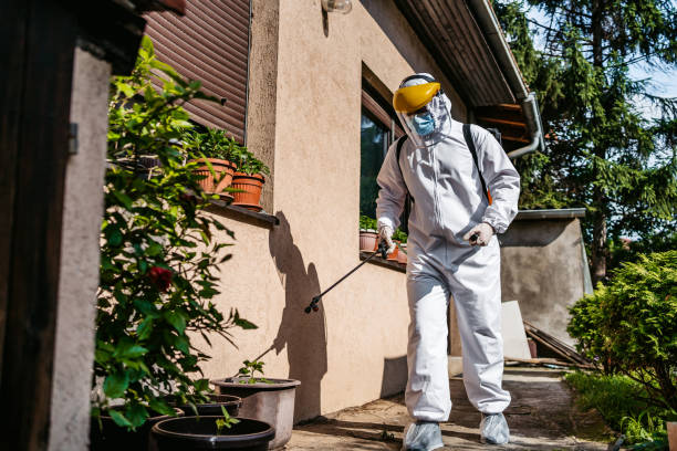 Best Termite Control Services  in Atlantic Highlands, NJ