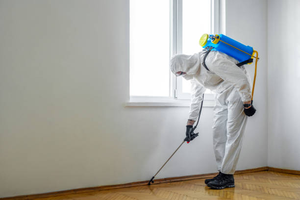 Best Rat Extermination Near Me  in Atlantic Highlands, NJ
