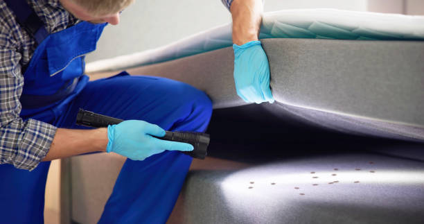 Best Termite Control Services  in Atlantic Highlands, NJ