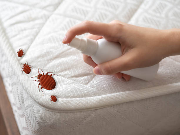 Atlantic Highlands, NJ Pest Control Company