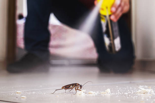 Best Pest Inspection Near Me  in Atlantic Highlands, NJ