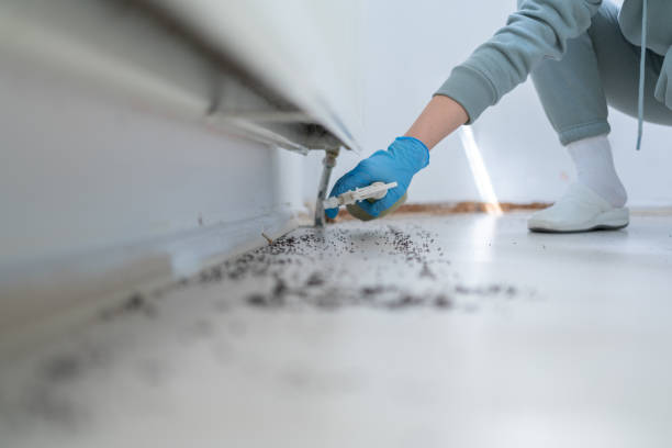 Best Affordable Pest Control Services  in Atlantic Highlands, NJ