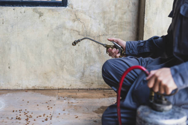 Best Wasp Removal Services  in Atlantic Highlands, NJ