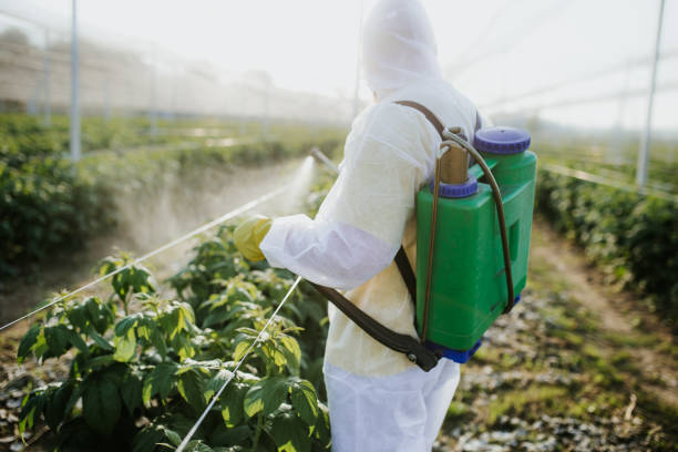  Atlantic Highlands, NJ Pest Control Pros